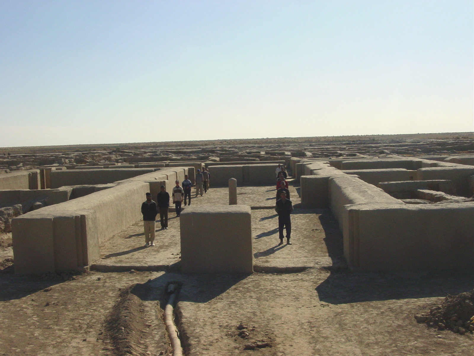 Дворец, 2006